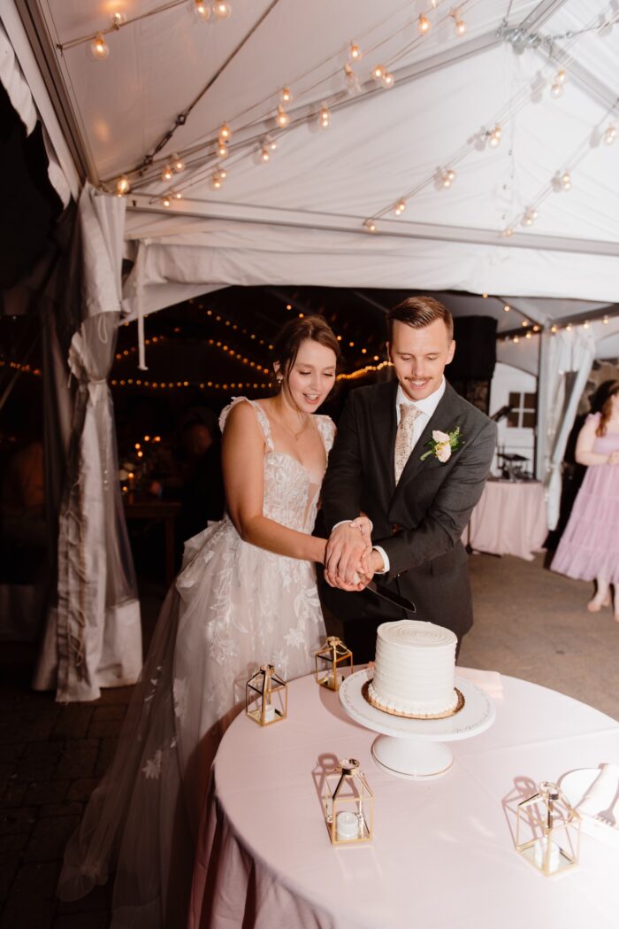 Bride and Groom cutting wedding cake